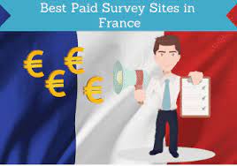 Answer questions and get paid. 23 Best Paid Survey Sites In France Start Earning Today