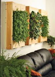 Zimmerpflanzen Vertikale Garten Farnen Holzkasten Ledersofa Ummauerter Garten Zimmerpflanzen Wandgarten