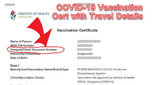 Such digital certificates are designed to be easily shared by travellers to facilitate inspection and verification by the relevant local as well as overseas border. How To Get A Vaccination Certificate With Passport Details Youtube