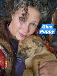 Noodle is finally old enough for her Rabies vaccination. That's one less  thing to worry about! And now we can cuddle! #emotionalrescuedogs #puppy  #love