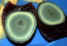 Warna hitam pada telur ini memang berbeda dengan telur pada umumnya. Bikin Telur Seribu Tahun Yuk Tribunnews Com Mobile