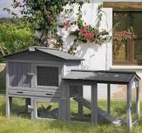 Outdoor Chicken Coop & Rabbit Hutch (61.5"x40.9"x24.8")