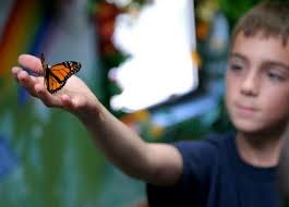 Bear Mountain Butterfly Sanctuary