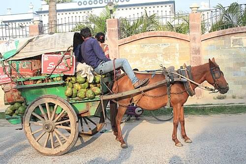 Tanga (cart) - Wikipedia