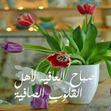 بطاقات صباح الخير 2017 أجمل صور بطاقات صباح الخير للحبيب وأحلى كروت رومانسية حبيبي للزوج 2018 almastba com 13909691 morning blessings good morning morning wish