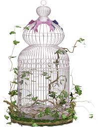 Scrap Subory Category Svet Klip Artu Decoupage Paper Flower Art Bird Cage