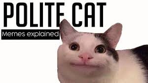 Sep 17, 2016 · memes should be relatable, with universally uplifting themes. Polite Cat Memes Explained Youtube