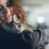 In cats with biological factors contributing to their anxiety, medication may be required if behavior modification techniques do not adequately address their symptoms. Https Encrypted Tbn0 Gstatic Com Images Q Tbn And9gctqt2gvrx6rl 8vekcdf 49tcli Shl11noo2q0r5d6e1kumogo Usqp Cau