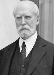 Charles Hughes hotsell 1916 Presidential Campaign Pin