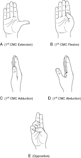 Measurement Of Range Of Motion Of The Wrist And Hand