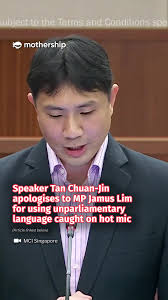 Speaker Tan Chuan-Jin has apologized to MP Jamus Lim regarding this  incident #tiktoksg #sgnews #sgparliament