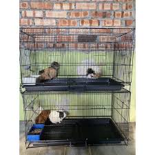 9,594 likes · 12 talking about this · 30 were here. Buy Sangkar Burung Arnab Ayam Guinea Pig Sugar Glider Landak Kucing Bird Rabbit Chicken Sugar Glider Hedgehog Cage Seetracker Malaysia