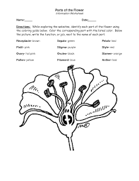 Parts Of A Flower Coloring Page Parts Of A Flower Coloring Pages Flower Coloring Pages