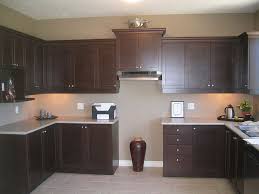 Espresso Cabinets Kitchen Cabinets On A Budget Dark Brown Kitchen Cabinets Espresso Cabinets