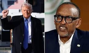 Barbie pigs' and 'unicumbers' among several bizarre, new species discovered  at proposed site for deep-sea mining site in the Pacific