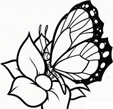 21 Brilliant Picture Of Flowers Coloring Pages Entitlementtrap Com Butterfly Coloring Page Flower Coloring Pages Printable Flower Coloring Pages