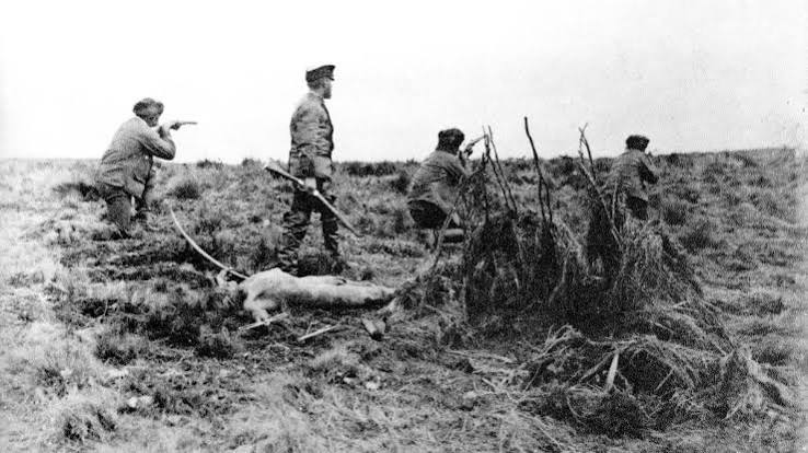 Genocidio en el fin del mundo: Estado y terratenientes contra los selk'nam | La tinta