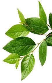 All one cosmetics, aerosol üretimi konusunda tüm müşterilerimizin, tüketicilerin beklentilerini en iyi şekilde cevaplayan ve memnuniyet yaratarak sürekli tercih edilen çözüm ortağı olmak gayesi ile yoluna devam etmektedir. All One Cosmetics We Produce For You