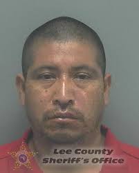 Deputies with the Lee County Sheriff's Office were responding to an  unrelated call in Fort Myers when two suspects attempted to pry open a  marked patrol vehicle. While conducting their investigation, a