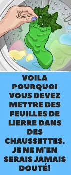 Voila Pourquoi Vous Devez Mettre Des Feuilles De Lierre Dans Des Chaussettes Je Ne M En Serais Jamais Doute Lierre Lavage Linge Feuille De Lierre