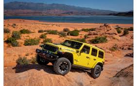 Image result for Natural Yellow 2000 Fleet