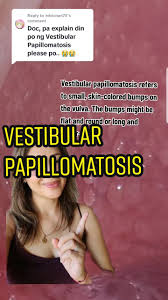 Replying To @Mirichan75 Vestibular Papillomatosis Refers To Small, Ski... |  Tiktok