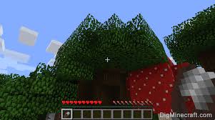 Dark Oak Wood Tree | Minecraft Network | Fandom