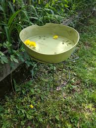 The ground should be level. Making A Bird Bath That Floats Easy Saucer And Tomato Cage Bird Bath