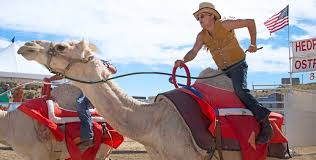 If you just fly there you will end up in the sea and get fatigue at that location, no platform or anything. International Camel Ostrich Races