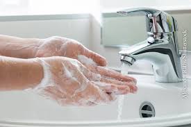 Infos zu ansteckung, dauer und inkubationszeit finden sie hier. Norovirus Effektiv Vorbeugen