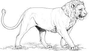 Lion King Book Pages Color By Number Simba And Nala Clip