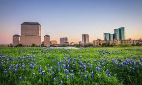 We would like to show you a description here but the site won't allow us. Bluebonnets In Las Colinas Picture Of Irving Texas Tripadvisor