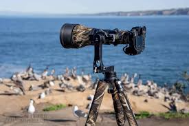Tripod Head for Wildlife and Landscapes