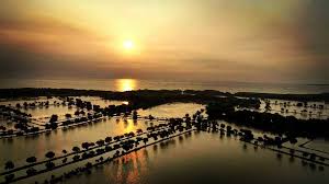 Tempat ini merupakan danau marakas, tempat refreshing nyaman di tengah hiruk pikuk kota bekasi. 21 Wisata Bekasi Harga Tiket Masuk 2021 Alamat Lokasi