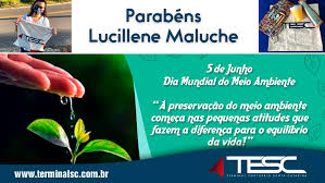 Meio ambiente frases educação ambiental e sustentabilidade jardim reciclado dia do meio ambiente ideias verdes mentes brilhantes bons hábitos frases de efeito sábias palavras. Terminal Sc Blog