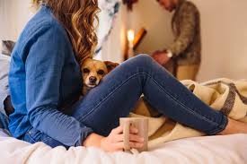 Every dog lover knows the feeling. How To Get Your Boyfriend Husband To Love Your Cat Dog Glamour