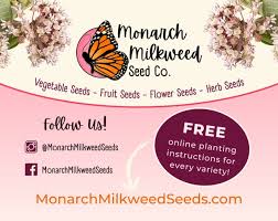 500 Tomato Seeds 'beefsteak' Non-gmo, Heirloom, Vegetable Gardening Plant  Seed Packets for Homestead Growing, Lycopersicon Esculentum