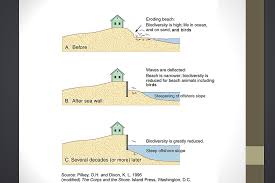Pier work planned, survey reveals locals' beach management priorities