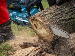 Our patented clean power engine technology is powerful and environmentally friendly, reducing harmful exhaust emissions up to 75% and increasing fuel. Makita Xcu08 Cordless Top Handle Chainsaw Review Pro Tool Reviews