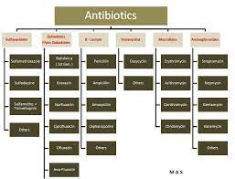 Antibiotics Classification Pharmacology Nursing Nurse Pharmacology