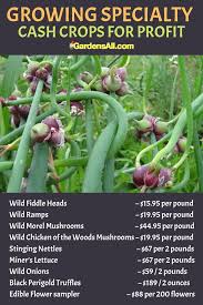 Edible flowers make a great addition to salads, or you can crystalise them for cake decorations, float them in summer punches and cordials, or add them certain vegetables also provide edible flowers. Specialty Crops To Grow For Profit Gardensall Specialty Crops Cash Crop Medicinal Plants