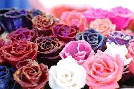 Check spelling or type a new query. Pin On Diy