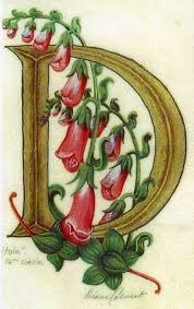 The Aroma Enlightens Us Decorative Letters Illuminated Letters Alphabet Art