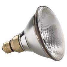 The halogen lights are incredibly bright without having many. Ge Par38 Halogen Flood Light Bulb 75w Hog Slat