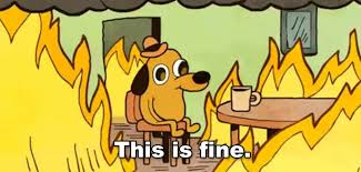 You Just Have To Say That You Re Fine Meme Gif 15 Gifs For When Your Life Is A Mess But You Re Pretending It S Fine This Is Fine Dog Memes This Is Fine Meme
