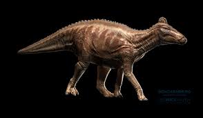 The only dinosaur bones ever found in ireland have been confirmed to belong to two different species. Edmond S Prehistoric Realm Senckenberg Museum Frankfurt