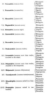 Plant Taxonomy History Classification And Plant Kingdom