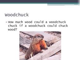 The woodchuck, a word originating from algonquian wejack, is a kind of marmot, regionally called a groundhog. Tongue Twisters Unique New York Woodchuck How Much Wood Could A Woodchuck Chuck If A Woodchuck Could Chuck Wood Ppt Download