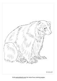 Find self published books as unique as you. Wolverine Coloring Pages Free Animals Coloring Pages Kidadl