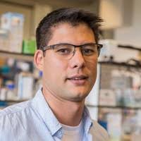 5800+ 'Harold' profiles